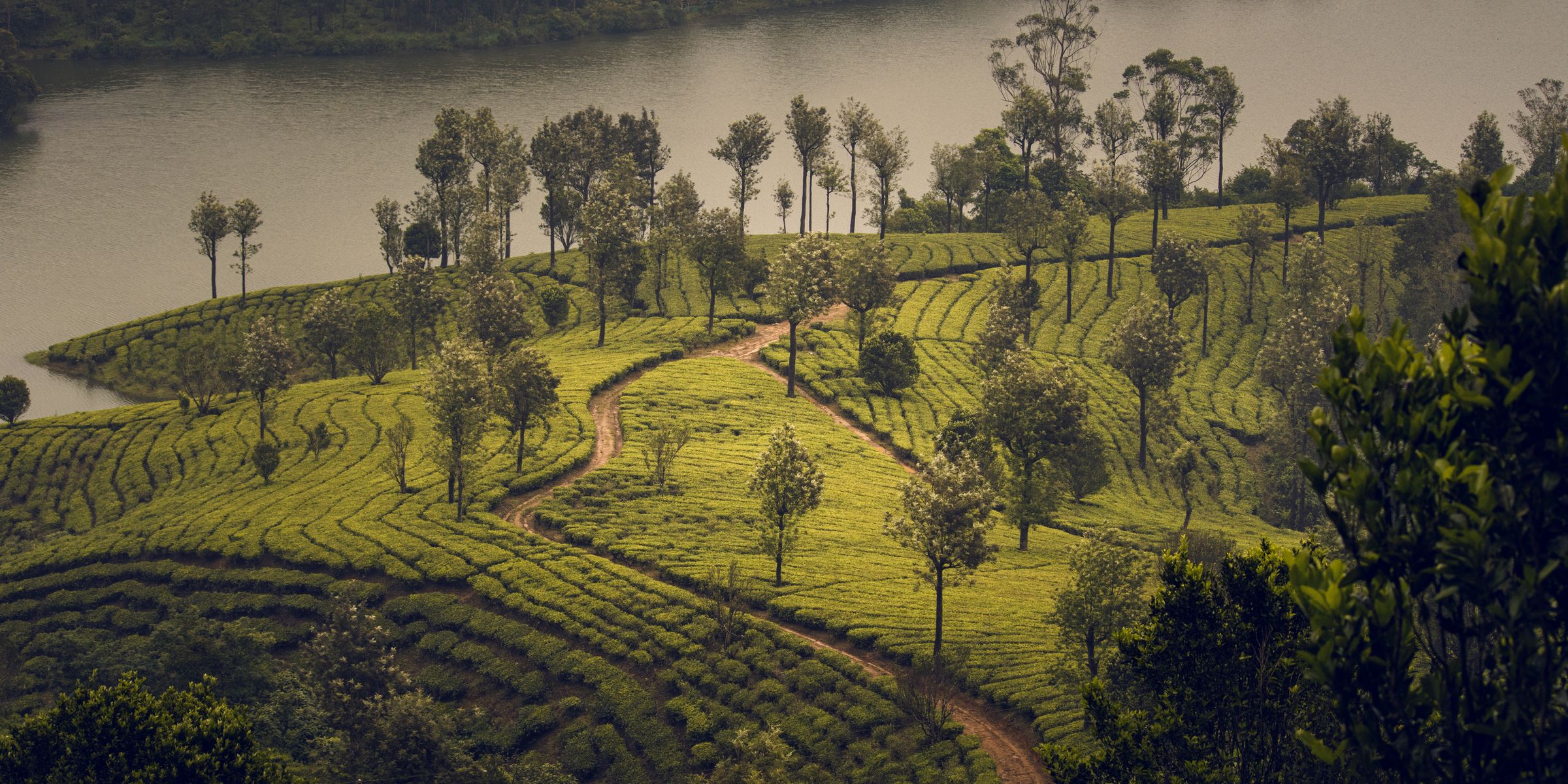 Travellers on a journey arranged by Beth-Haran